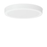 TOLEDO FLAT round, 30 W, 3550 lm, 830, white, DALI Surface mounted dow
