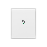 Rocker, 1gang, with “Dimmer” icon