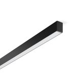 Less is more 27, 29 W, 1600 lm, 830, black, DALI Ceiling and wall lumi