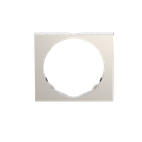 Busch-Watchdog frame stainless steel