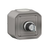 PLEXO RESETTING SWITCH - GREY - SURFACE
