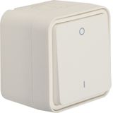 2-pole switch with housing, W.1, polarity white