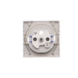 Double two-way switch with backlight light without symbol, 10AX, matt aluminum