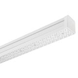 TRY A/M L 31W(34W) 4000K+NOOD
