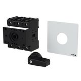 P3 Main switch, 80 A,Rear mounting, 3 pole, Form X, Other, Short thumb