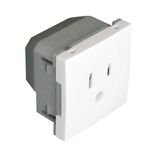 SAFETY EARTH SOCKET (USA NEMA) - 2 MOD WHITE