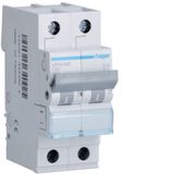 Circuit breaker 4500A 2P curve C 40A 2M