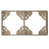 DOUBLE HORIZONTAL FRAME PLATINUM