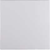 Rocker with fixing element IP44 S.1 polar white matt