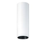 P-INF SC R100 1200-940 LDO BK WH - LED surface-mount ceiling luminaire