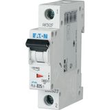 PL6-D25/1 Miniature circuit breaker (MCB), 25 A, 1p, characteristic: D