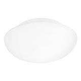 ELLA wall/ceiling light 83404