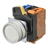 Pushbutton A22NL Ã˜22, bezel brushed metal, FLAT, Alternate, CAP COLOR A2223623D