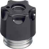 Screw caps DIII E33 63A plastic with indicator hole