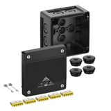 Junction box, Type of protection IP66/IP67/IP69, max. 2,5², IK09, Protection class II, Ui 450V AC, Ui 450V DC, DLG, DNV, VDE, Halogen free
