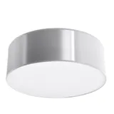CEILING LAMP ARENA 25 GREY E27 1X60W IP20