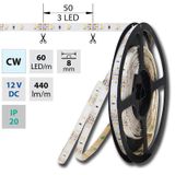 LED strip SMD3528 cold white, 60LED/m, IP20, DC 12V, 8mm, 50m