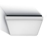 ANTHRACITE PLAFO 30W WW IP54 230V