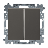 3521B-A0534595 Switch 2-circuits Basic 55