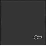 Single rocker, door opener symbol imprint, A.x/C.x, matte night black
