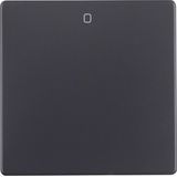 Rocker imprint "0", Q.1/Q.3, ant. velvety, lacq.