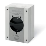SWITCH DISCONNECTOR 80A 3P IP66/IP69