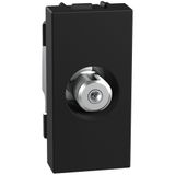 Light Now - socket SAT F-type 1m dark