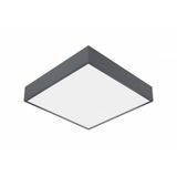 SQ 300 LED PLUS LENS 2100lm 830 IP54 II class OPAL RAL9005 (24W) 300mm