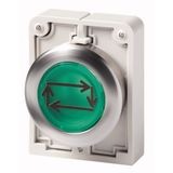 M30I-FDL-G-X32 Illuminated pushbutton actuator, Flat Front (drilling dimensions 30.5 mm), flat, momentary, green, inscribed, Front ring stainless steel