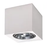 CERAMIC SPOT SEIDA GU10/ES111 1X40W IP20