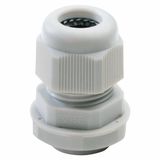 Nylon Cable Gland PG21 with Fixing Nut GW52076