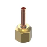 T2/TE2 Adapter 6mm M/116