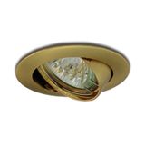Light.hall.ceiling.tilt. VPD-LR50/ZB