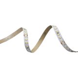 LED-STRIPE 5m 3000K 10W/m 1235lm/m CRI95