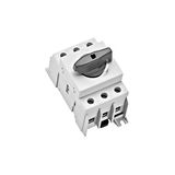 CAPUS Panel - Switch-disconnector 3 pole, 63A, 16 - 50mmý