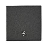 Rocker S 55 with symbol fan, anthracite