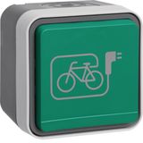 Earthed socket with bicycle charging symbol text field + housing, W.1 grey