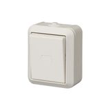 1066SWP Switch Kosti
