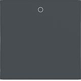 Single rocker, imprint "0", A.x/C.x, anthracite