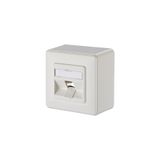Keystone wall outlet surface mounted 1 port unequipped pure white