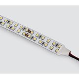 DOUBLE LED STRIP 24V DC CW 5m ROLL 19,2W/m IP20