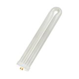 U-Shaped 4Pins 40W T8 55x300 Blacklight