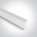 42001/W WHITE MAGNETIC PROFILE 1m 48V MAXI