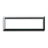 CHROME INNER FRAME FOR VERA44    7M