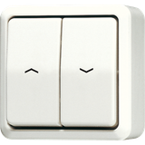2-gang blind switch/push-button 10 AX 609VA