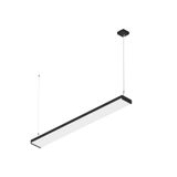 WORKLIGHT P LINE, 1500 65 830/840 WB ML DALI DT8 bl