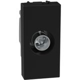Light Now - socket TV star 1m dark