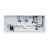 ERGOSIGN 80 P MSW ECD WH IP54 - Escape sign luminaire