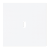 Central disc USB-C power supply insert 65W Busch-art linear®