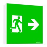 Emergency light WFX WL LED IP65 3h 230V AC, wall-mounted.